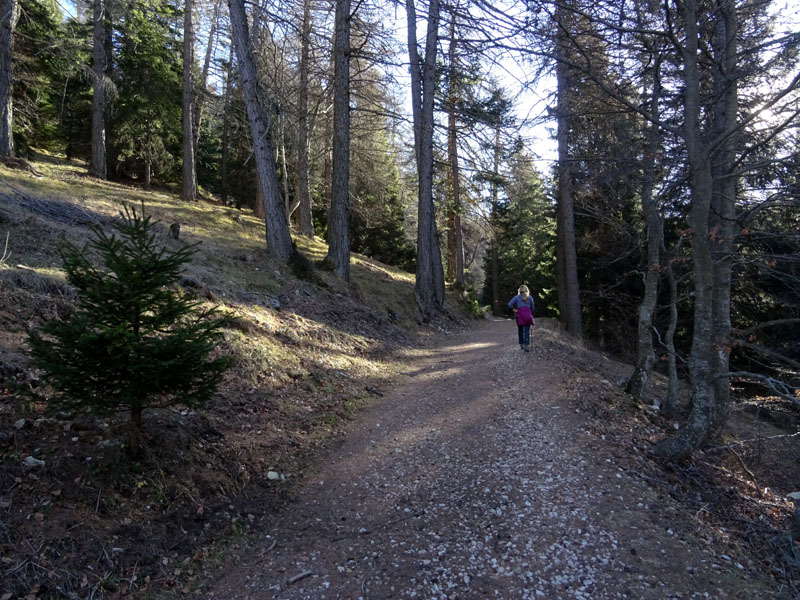 Corno di Tres - Corno del Cervo